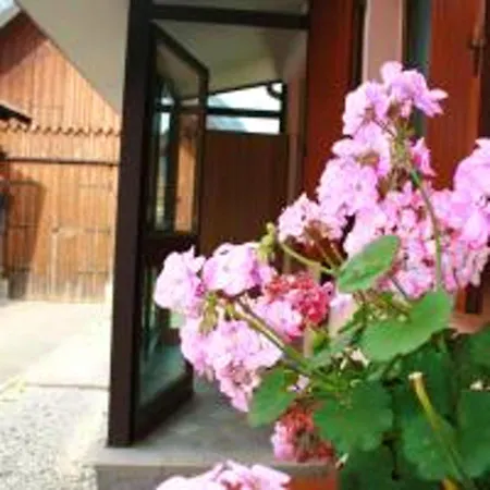 Holiday home Charming House In Pontebba, Mountain View, Enclosed Garden Pontebba