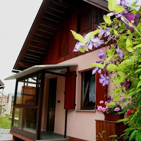 Charming House In Pontebba, Mountain View, Enclosed Garden Holiday home