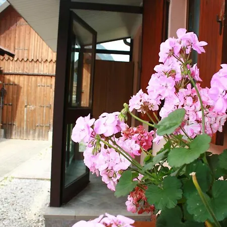 Charming House In Pontebba, Mountain View, Enclosed Garden Pontebba